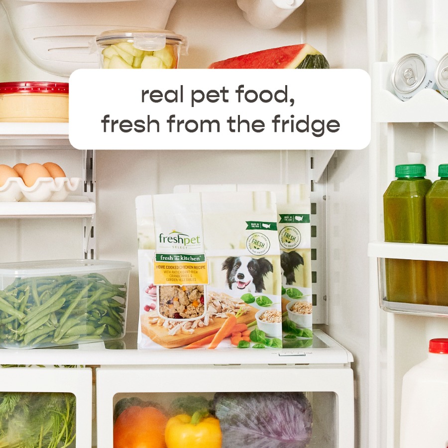 4 pack Fresh Dog Food, Fresh F - Home Cooking Recipes incelemesi ve fiyatı